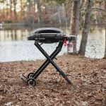 Weber Traveler Compact - Image 8