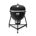 Summit Kamado E6 Charcoal Grill