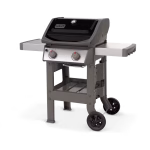 Spirit II E-210 GBS - Image 2