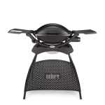 Weber Q2000 Gas Grill with Stand