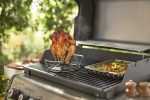 Poultry Roaster - Image 2