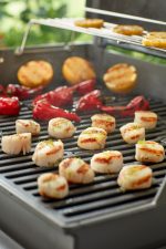 Cooking Grates for Spirit 300 Series - Image 3