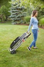 Weber Traveler - Image 8