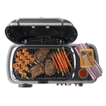 Weber Traveler - Image 5