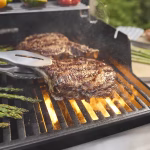 Spirit EP-325 Gas Grill - Image 9