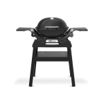 Weber Q1200N Gas Grill with Stand