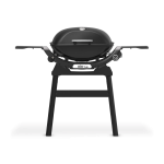 Weber Q2200N Gas Grill with Stand