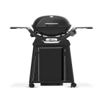 Weber Q2200N Gas Grill with Cart