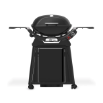 Weber Q2800N+ Gas Grill with Permanent Cart