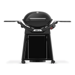 Weber Q3200N Gas Grill