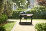 Performer Premium 57 cm Charcoal Grill - Image 4