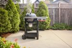 Performer Smart 57 cm Charcoal Grill - Image 5