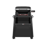 Lumin Smart with Premium Stand